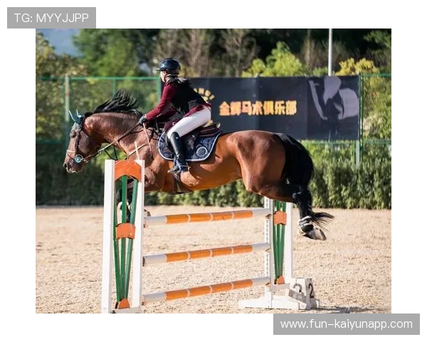 美国马术协会与大学合作，开展马术专业课程，培养专业人才。，美国马术队