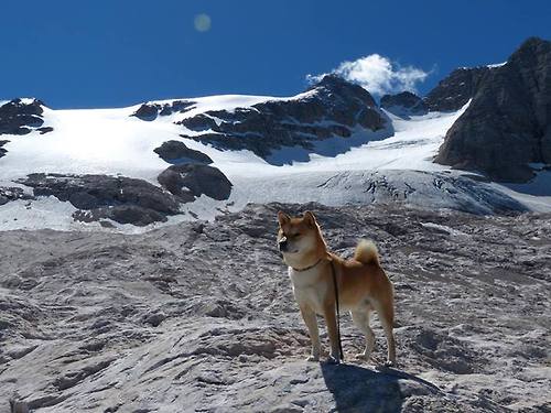 美选手配速更稳，中国选手节奏更强，美选手配速更稳,中国选手节奏更强吗
